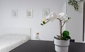 Hermoso Estudio Centro de Malaga